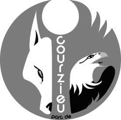 Le logo de l'entreprise 4